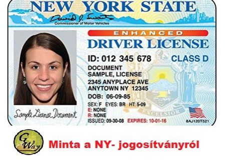 new_york_state_idl.jpg